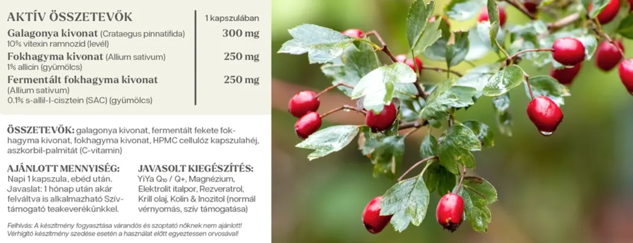 YiYa Galagonya & Fokhagyma komplex - Image 2